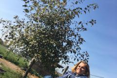 126725d9-4da2-4f33-a1eb-7825be22f723