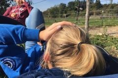 5d447711-cdb0-4451-a98b-18196c93fef1