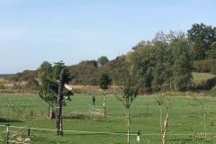 6cbaae01-1c5e-43e8-9646-70178a34d8de