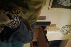 IMG00340-20101003-0134