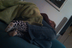 IMG00341-20101003-0135