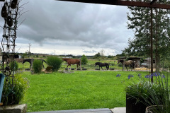 IMG_0909-resized