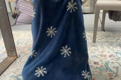 a902f31b-1218-495c-81db-47c4220e8010-resized