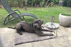 2e4fa145-d47c-4c40-b91f-7d3bbf9a1e90