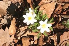 4b166029-47e8-4fdd-b96f-04fea47112ca