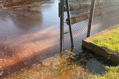 5b3c4592-f3b5-4529-acf3-3276d4c4791b-resized