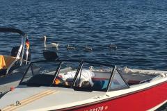 5f8fa94f-5fea-4512-8e70-9a7dccca2d10