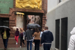 a219820b-aaac-49df-bf71-6ef6d50560be-resized