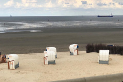 c802f5ea-ee4d-406f-a129-e7f1cb8774ec-resized